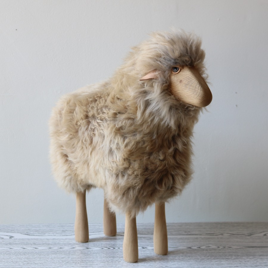 Small Sheep