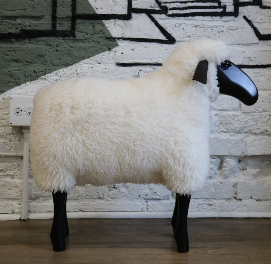 Medium Sheep