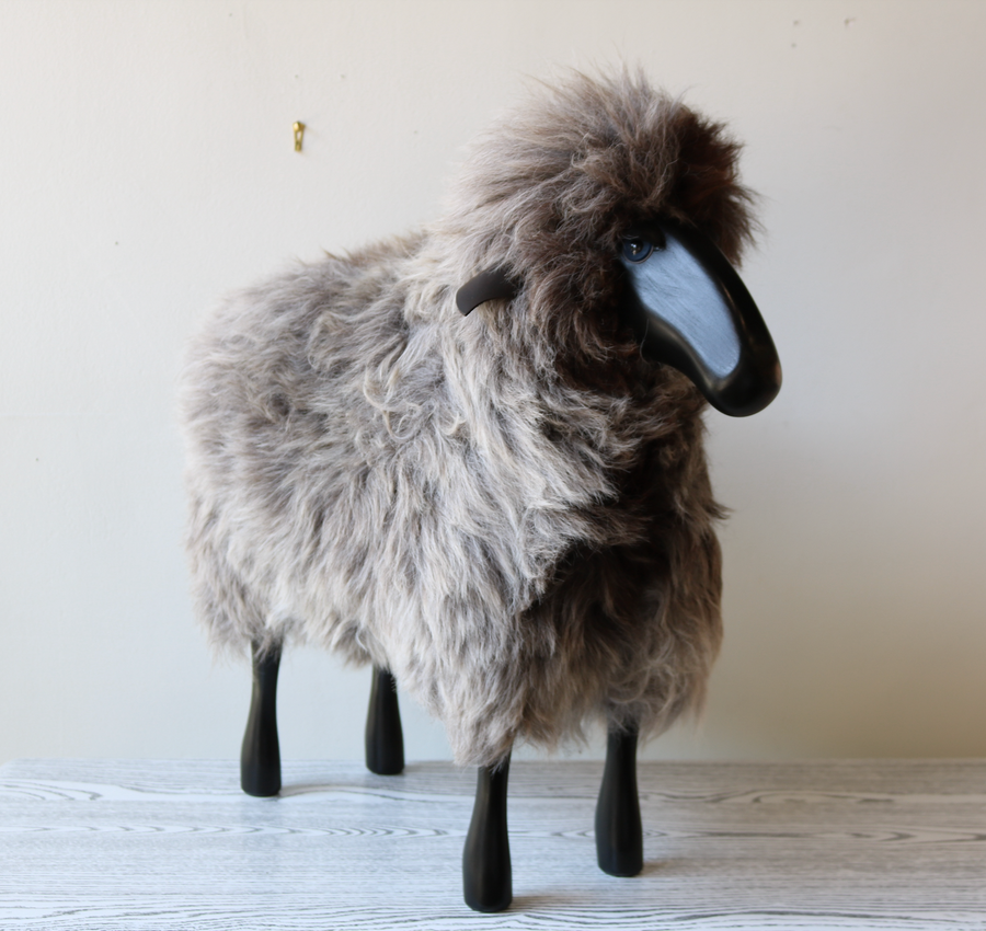 Medium Sheep